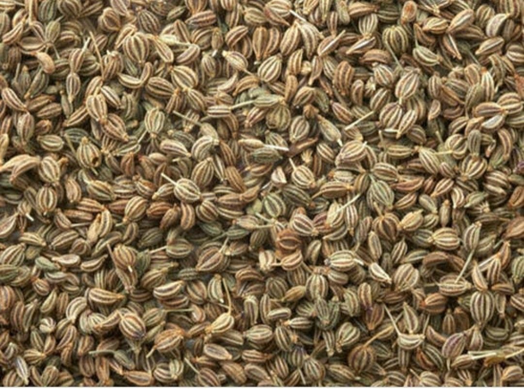 Carom Seeds